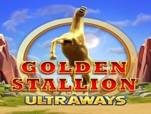 Golden Stallion